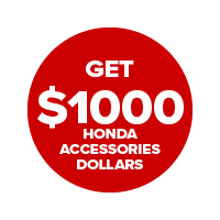 Pioneer 1000-3P Pioneer 1000-3P