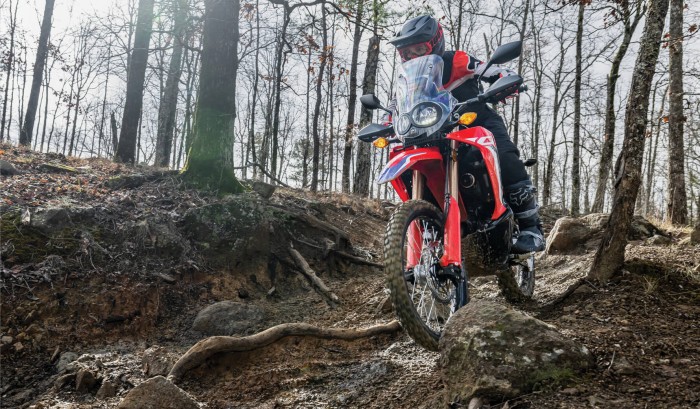 Assist/Slipper Clutch