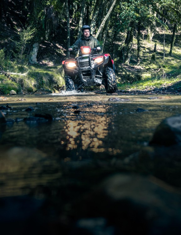 Electronic Power Steering Electronic Power Steering