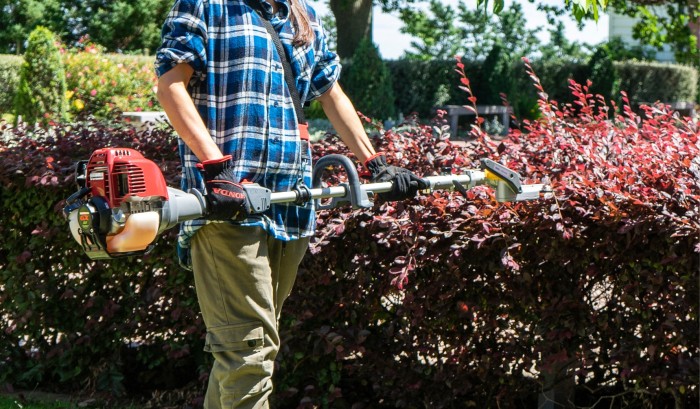 Create perfectly shaped bushes and hedges